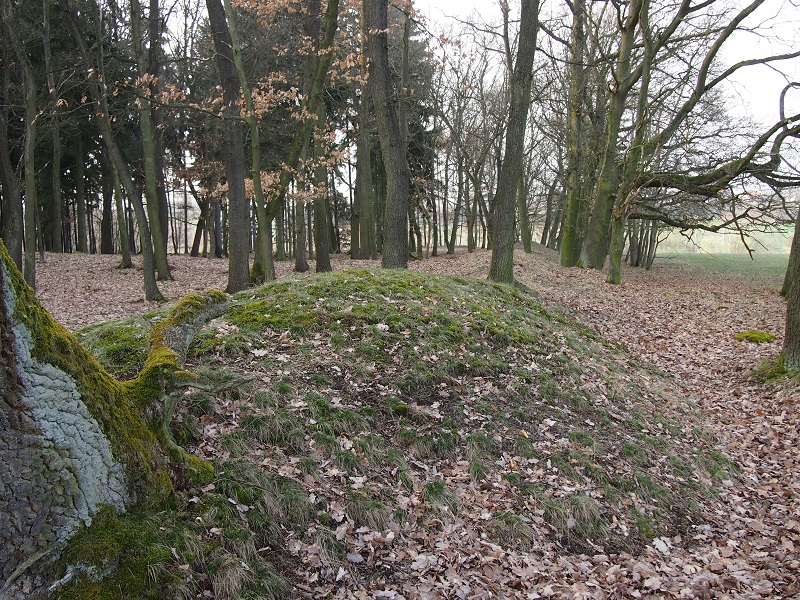Mšecké Žehrovice Viereckschanze