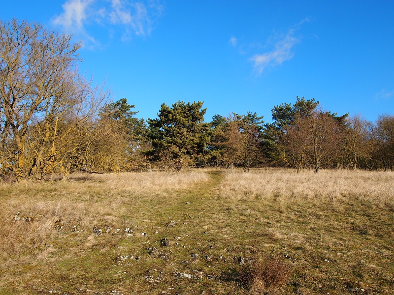 Kotýz Prehistoric hillfort