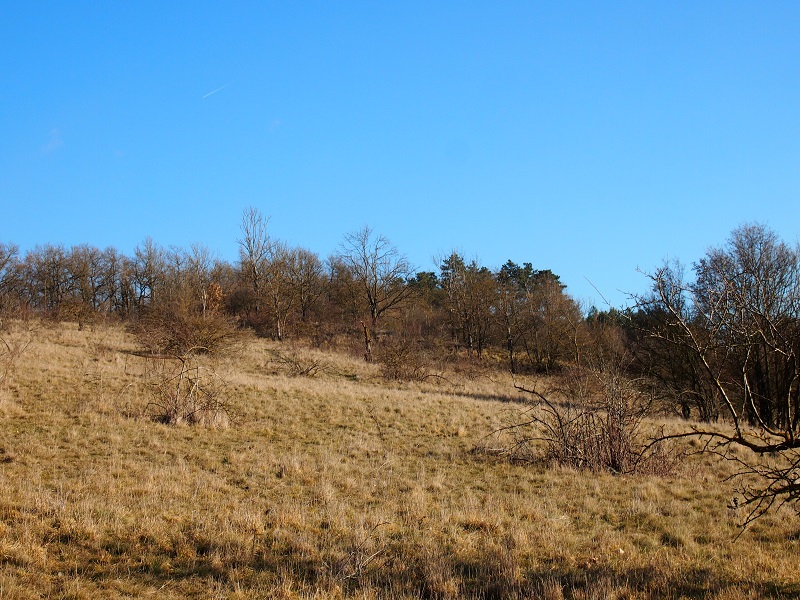 Kotýz Prehistoric hillfort