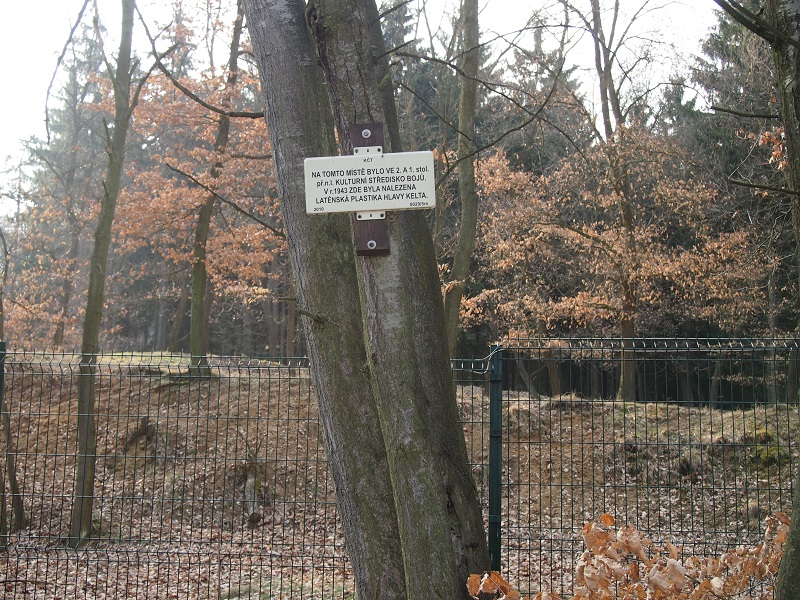 Mšecké Žehrovice Viereckschanze