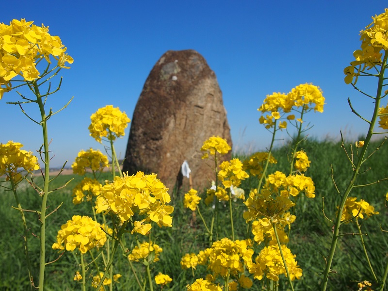 Menhir Líšno