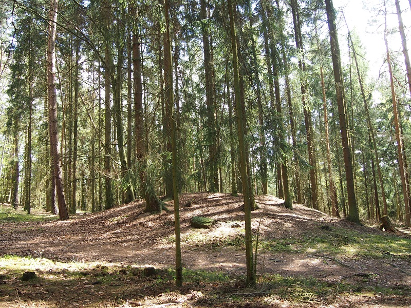 Barrow Cemetery Nová Huť - Háje forest