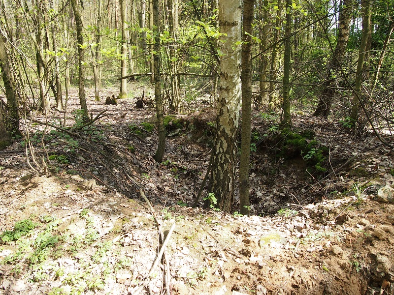 Barrow Cemetery Nová Huť - Háje forest