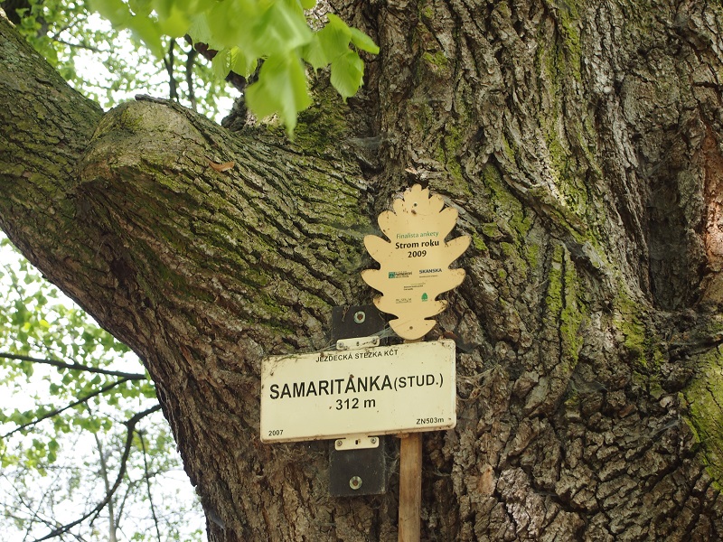 Samaritánka Well