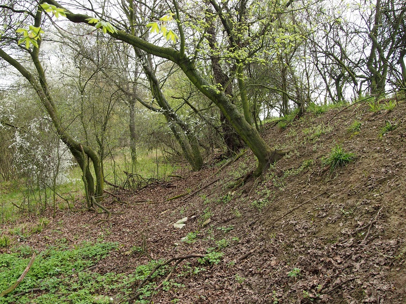 Remains of a fortification is the best visible on the eastern side.