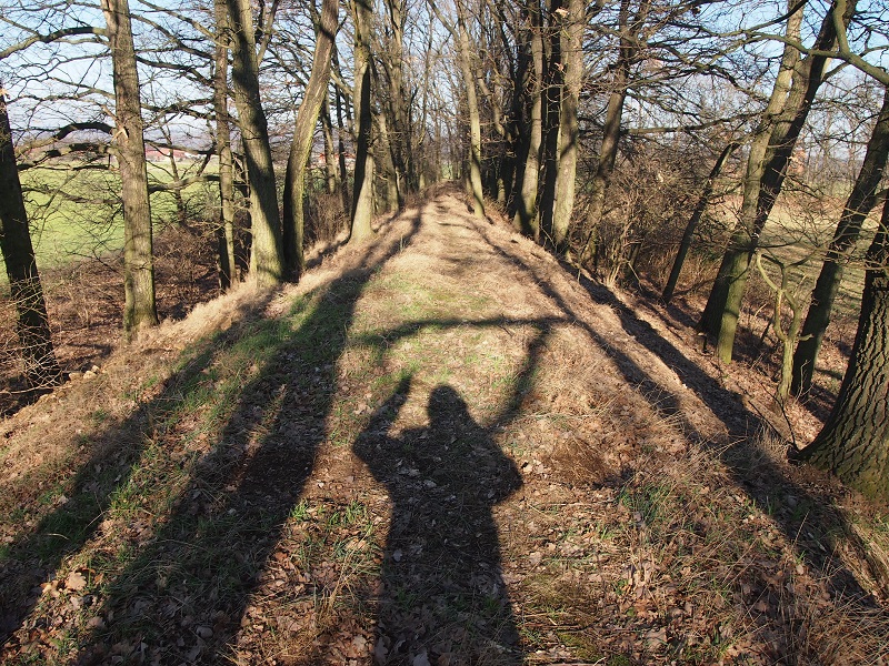 Celtic sanctum Skřipel