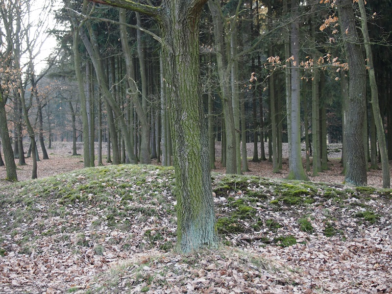 Mšecké Žehrovice Viereckschanze