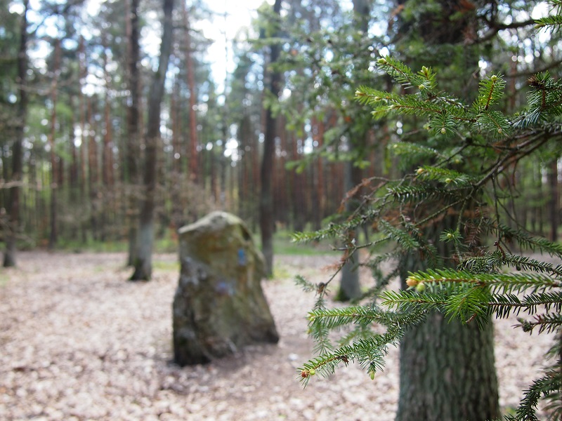 Menhir near Pilsen