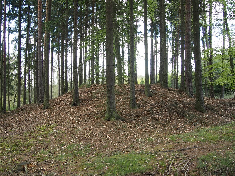 Barrow Cemetery Nová Huť - Háje forest