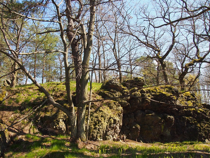 The Big Rock