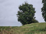 Žuráň Mound