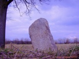 Zbudov Menhirs