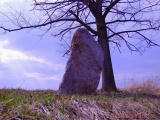 Zbudov Menhirs