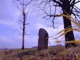 Zbudov Menhirs