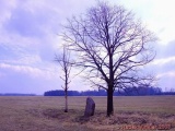 Zbudov Menhirs