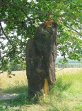 Slavetin Menhir