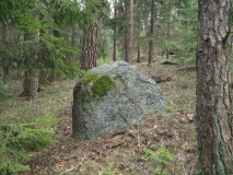 Menhir Mosty
