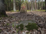 Menhir near Pilsen