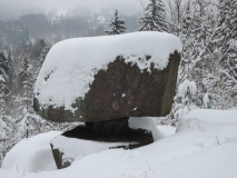 Skalní hřib u Jindřichova - PID:155562 Skalní hřib u Jindřichova - PID:155562