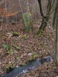 Růžená II