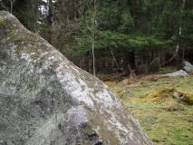 Buckovna stones