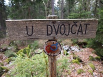 Dvojčata