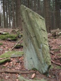 Venus I. Menhir