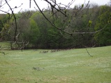 Klentnice Stone Circle