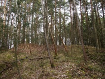 Barrow Cemetery Nemějice Hůrka