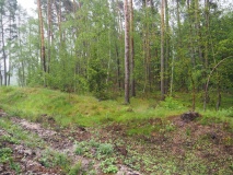 Viereckschanze Na Kokrdech