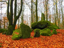 The Bear Hill