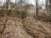 Ringval Božetín