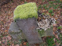 Tchořovice Propitiatory Cross