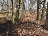 Celtic sanctum Skřipel