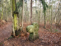 Bába (The Hag)