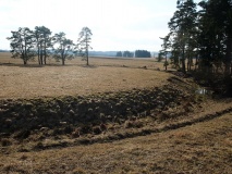 Ringval Rankovice