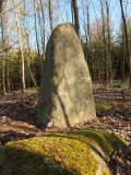 Menhir na Homoli