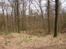 Chýnov Barrow Cemetery