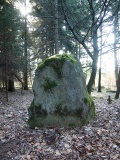 Kozlov 1 Menhir