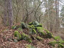 Radošov Hillfort