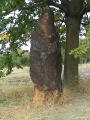 Slavetín Menhir submitted by peterpf