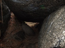 Myslkov Dolmen