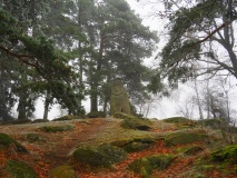 The Stone Crone