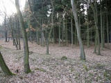 Mšecké Žehrovice Viereckschanze