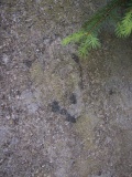 Koška Menhir