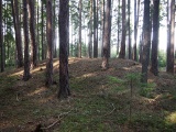 Barrow cemetery Hemery