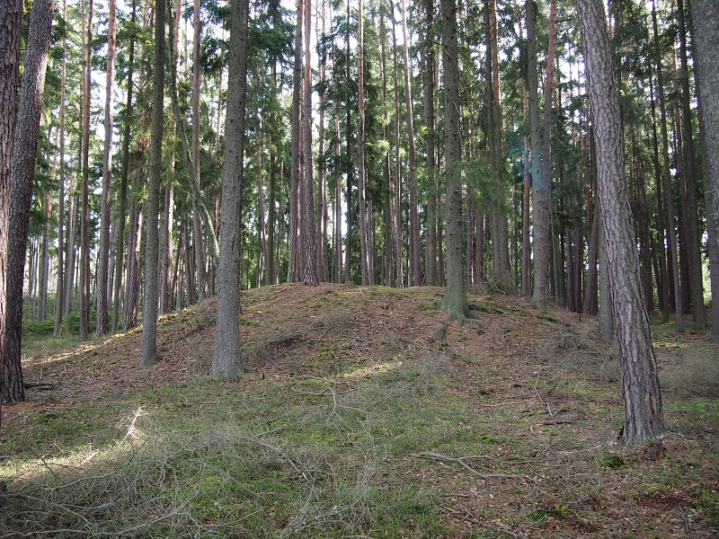 Barrow cemetery Hemery