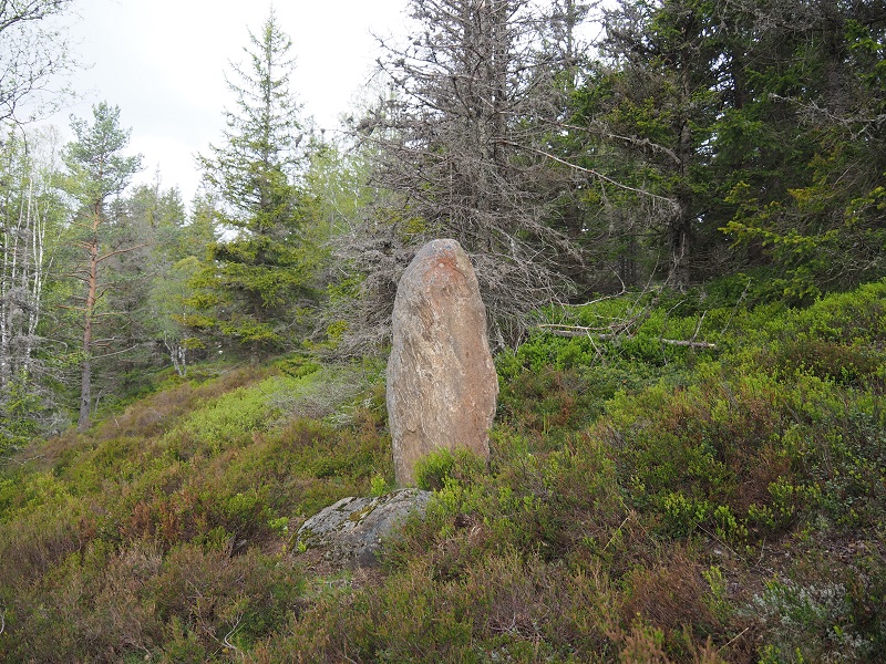 Click for full size image of Roklansky Creek Menhir (PID:255359) Roklansky Creek Menhir