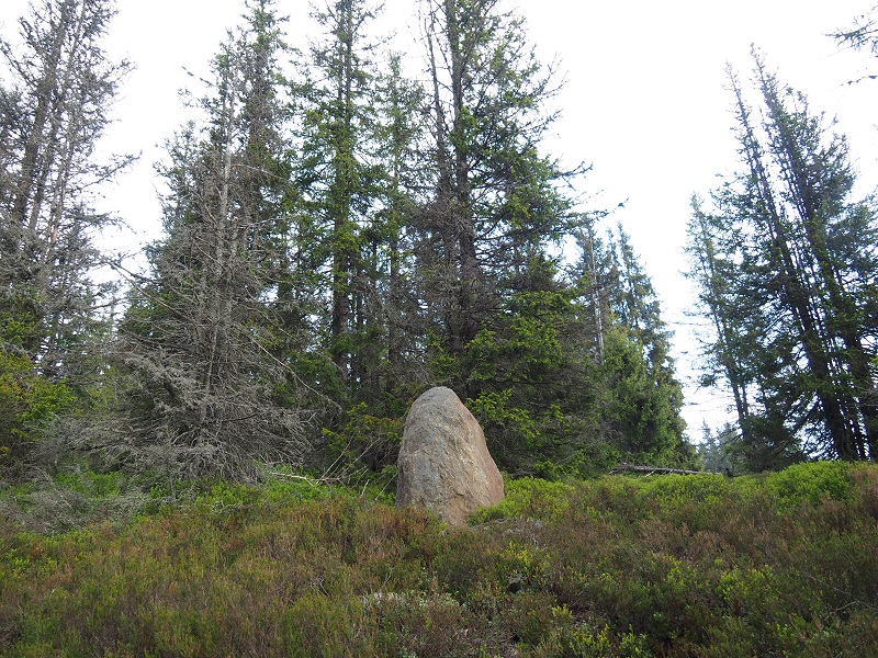 Click for full size image of Roklansky Creek Menhir (PID:255358) Roklansky Creek Menhir
