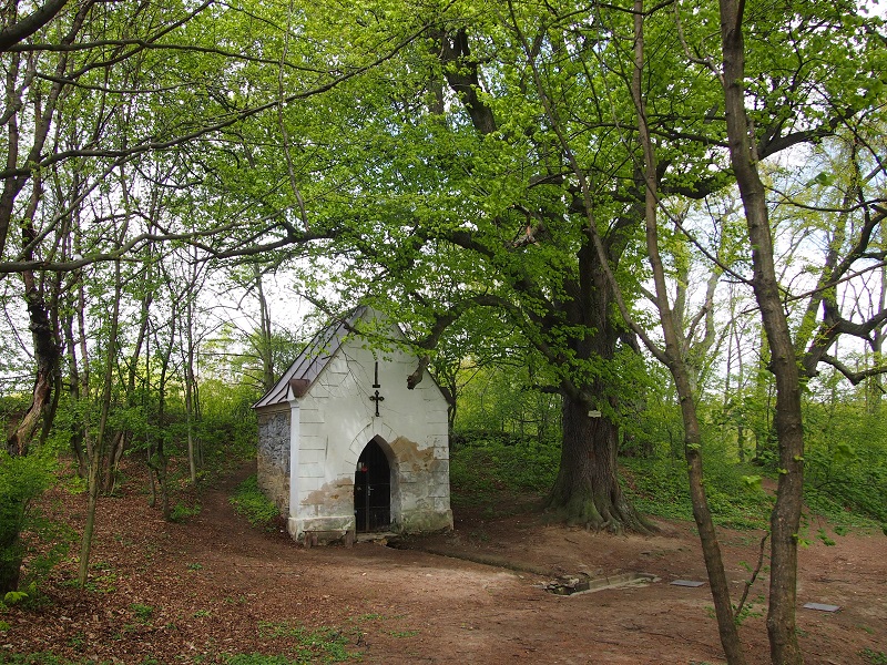 Samaritánka Well